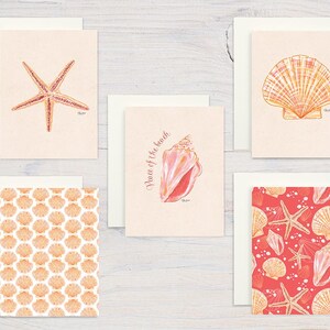 Watercolor Seashells Boxed Blank Note Card Set Free Shipping