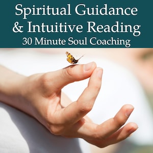 30-Minuten spirituelle Anleitung & Intuitives Lesen Video Treffen, Tarot und Orakel lesen, Chakra Heilung, Mala Anleitung spirituelle Mentorschaft