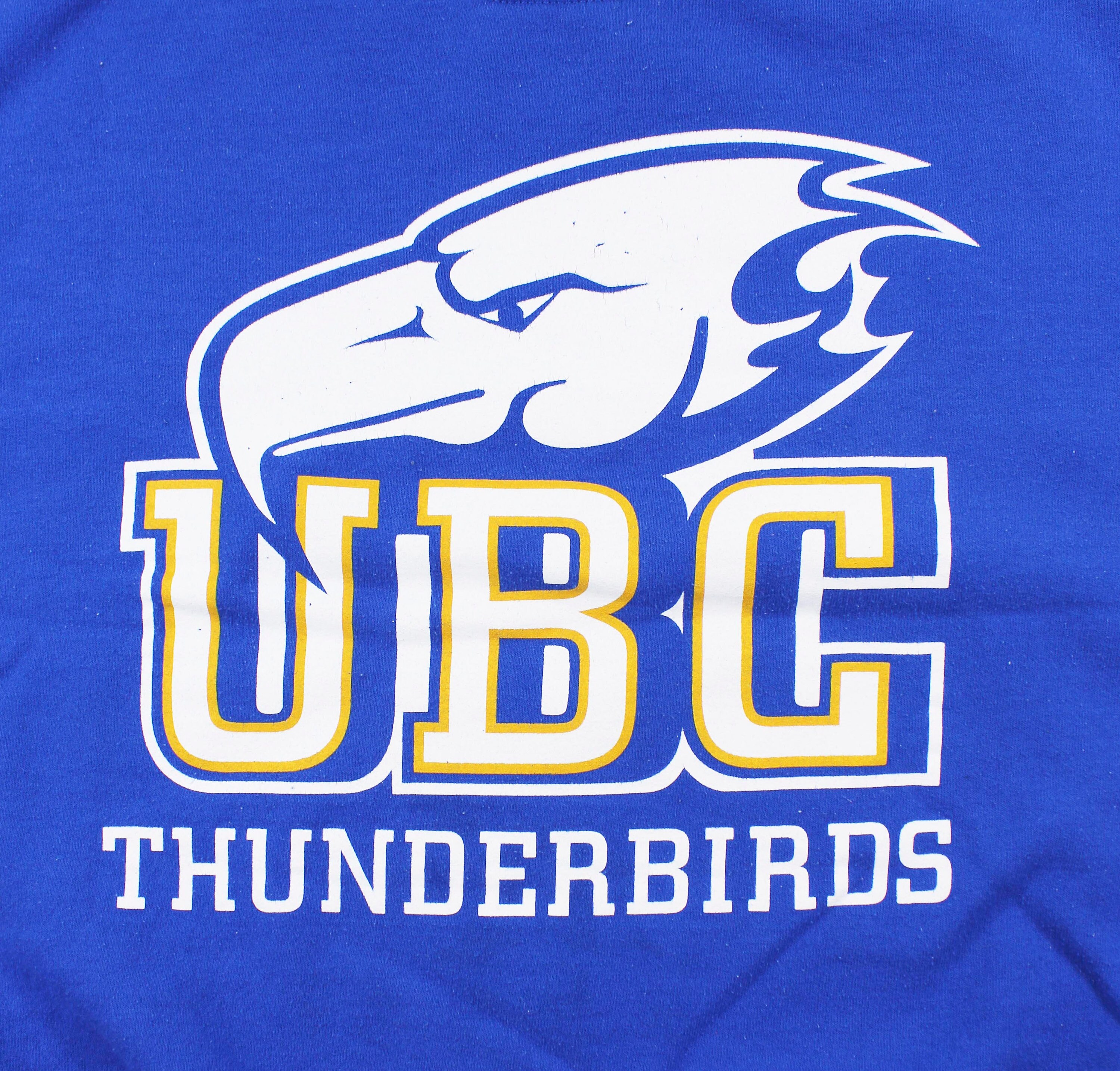Vintage store ubc sweater