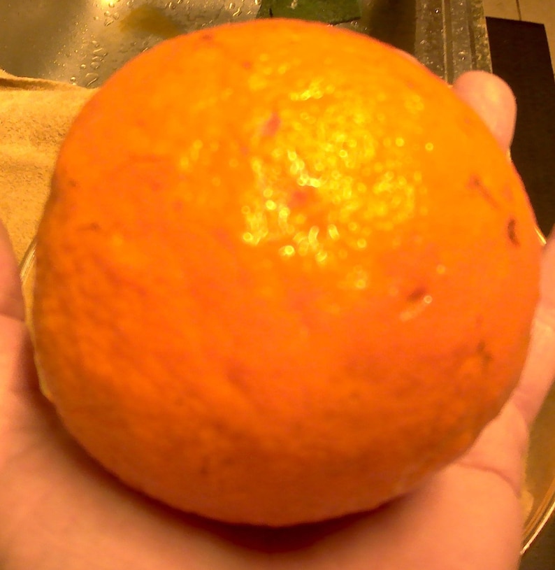 Organic Florida Sour Orange Juice Etsy