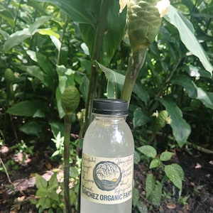 16 oz of Organic Awapuhi Ginger Juice Shampoo and Conditioner