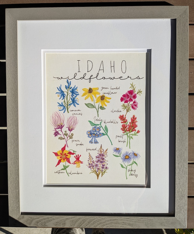 Idaho Wildflowers Watercolor Art - Etsy