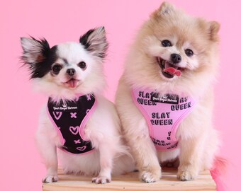 Reversible Dog Harness | Soft Neoprene Harness | 2-in-1 Harness | Matching Harness and Leash | Puppy Harness | Adjustable | No Pull |