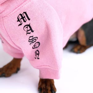 Sweat à capuche personnalisé pour chien || Sweat à capuche personnalisé pour chien || Sweat à capuche pour chien || Pull à capuche pour chien || Pull chaud pour chien || Vêtements pour chien ||