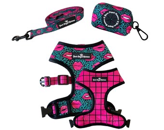 Conjunto de pacote de suporte para saco de cocô com trela de arnês | Arnês reversível para cães | Cachorro Pequeno | Arnês para animais de estimação | Coleira para cachorro | Dispensador de saco de lixo |