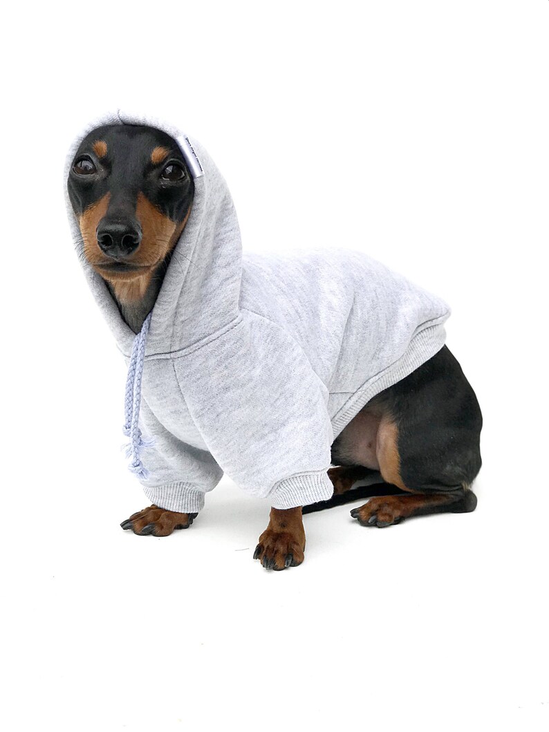 Grey Dog Hoodie Dog Clothes Black Grey Dog Etsy