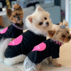 Puede incluir: Tres perros peque&ntilde;os con camisetas negras con corazones rosas y la palabra "Love" impresa en ellas. Los perros miran todos a la c&aacute;mara.
