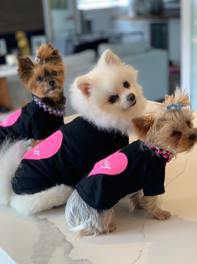 Puede incluir: Tres perros peque&ntilde;os con camisetas negras con corazones rosas y la palabra "Love" impresa en ellas. Los perros miran todos a la c&aacute;mara.