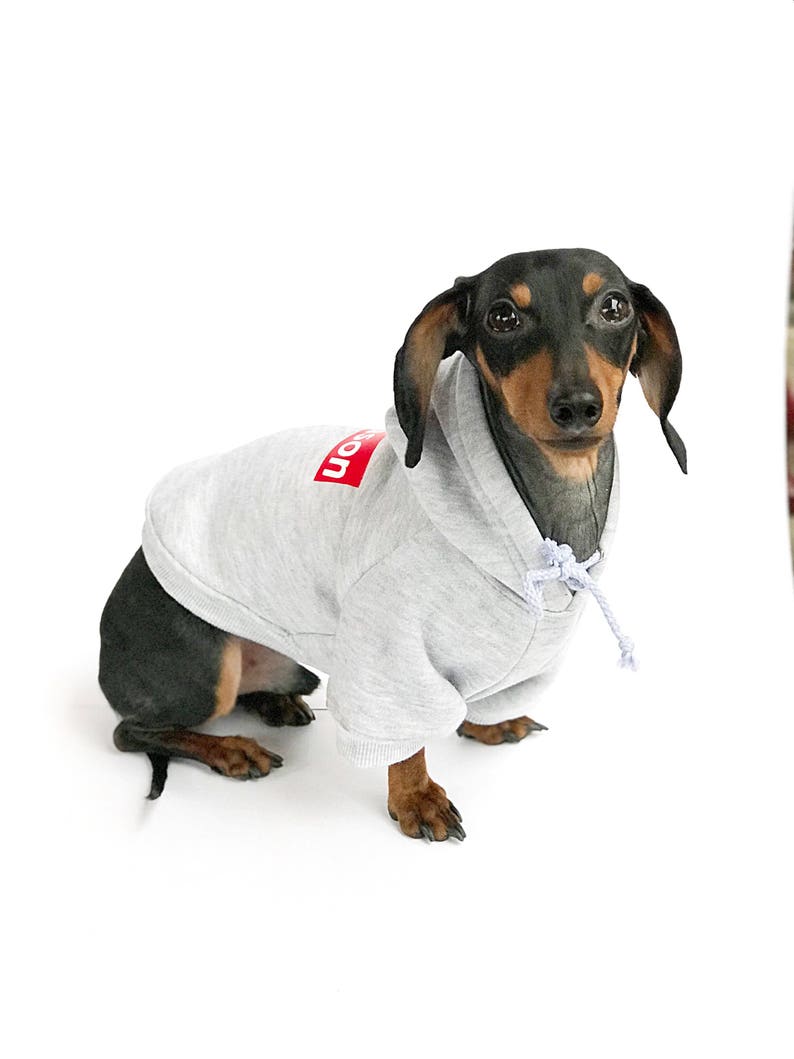 Custom Dog Hoodie Personalized Dog Hoodie Grey Dog Etsy