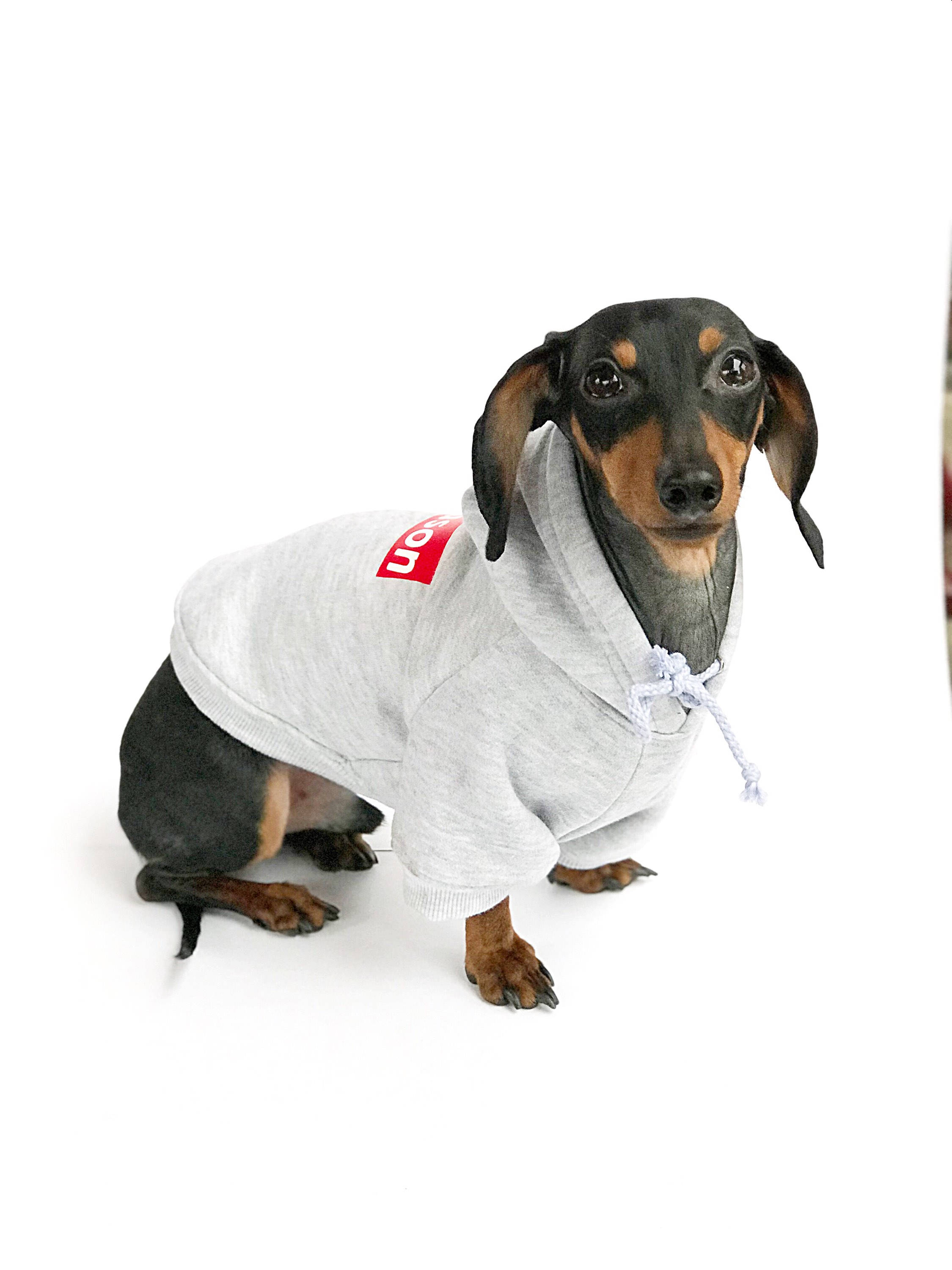 Custom Dog Hoodie Personalized Dog Hoodie Grey Dog Etsy