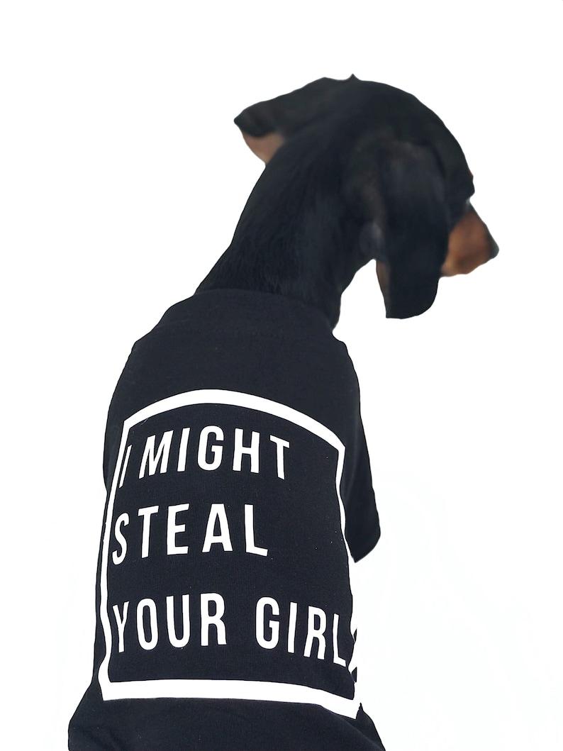 Dog Tshirt Dog Tee Black Dog Tshirt Dog Clothes Etsy