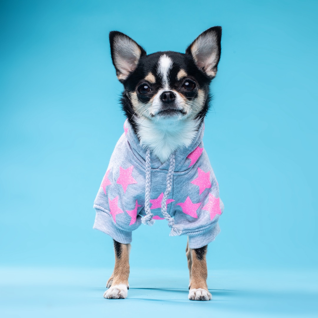 Grey Dog Hoodie Star Dog Hoodie Dog Sweater Warm Dog Clothes Cute Dog