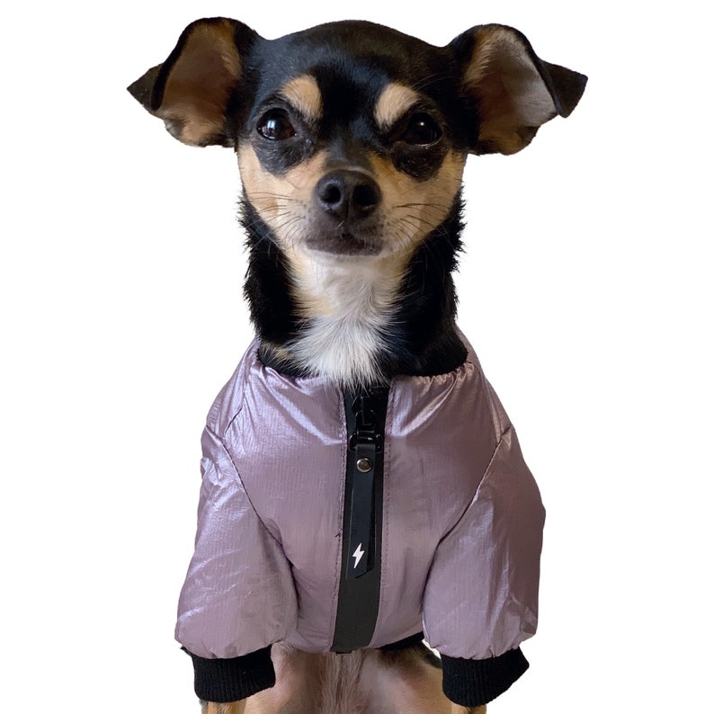 Bomber Jacket For Dogs
 Metallic Dog Bomber Jacket Purple Pet Coat Small Dog Etsy