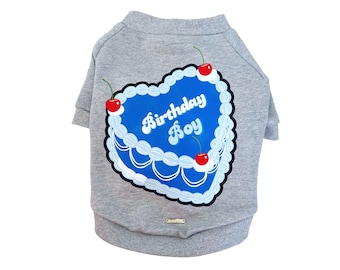 Birthday Boy Sweatshirt | Small Dog Clothes | Dog Bday Outfit | Dog Fashion | Bday Party |