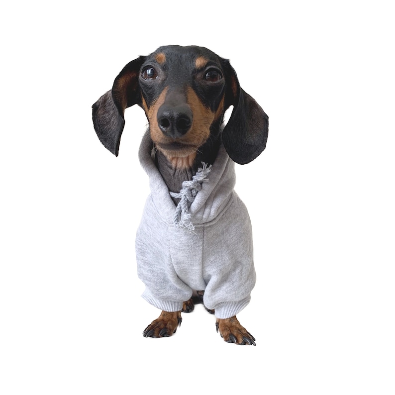 Grey Dog Hoodie Dog Clothes Black Grey Dog Etsy