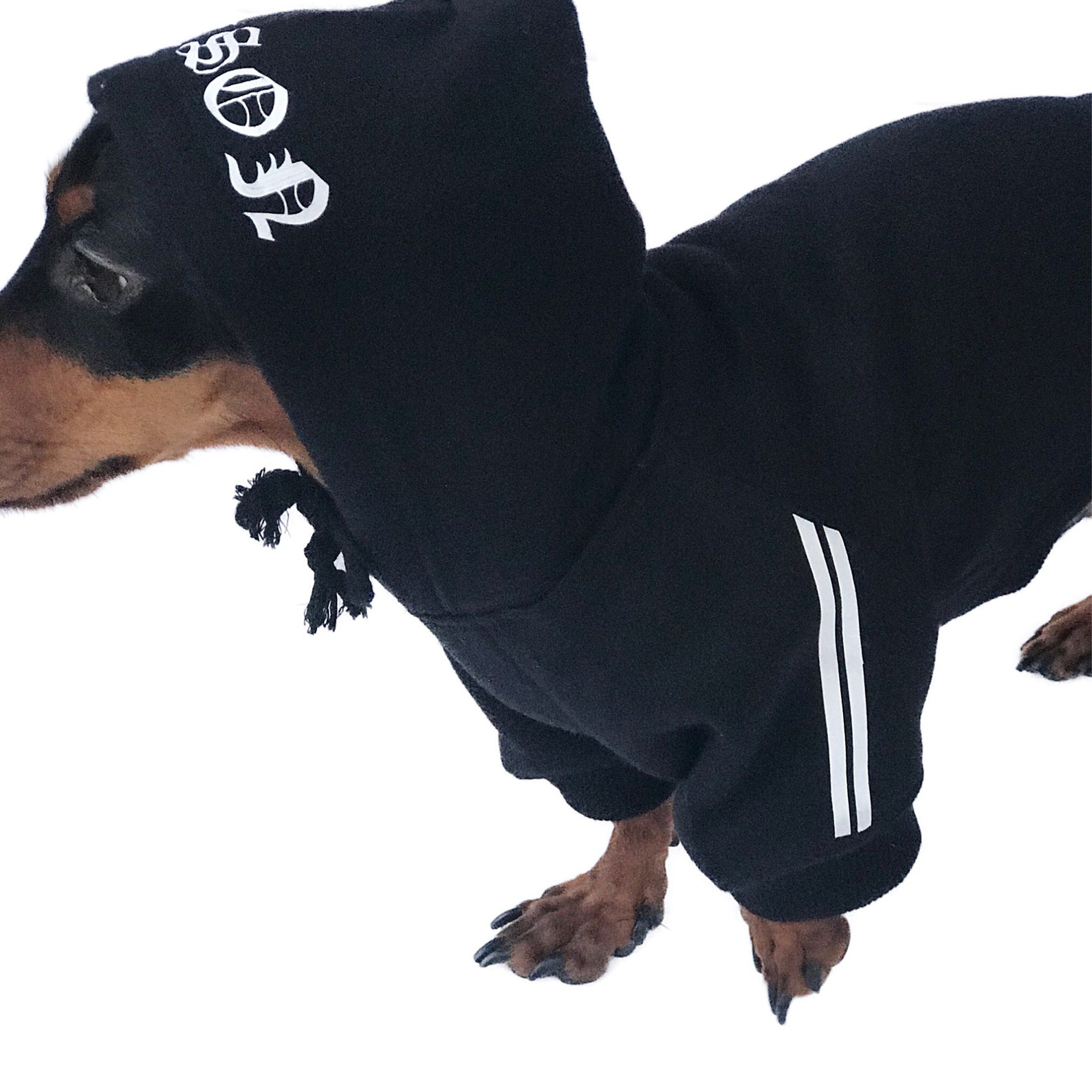 Custom Dog Hoodie Personalized Dog Hoodie Black Dog Etsy