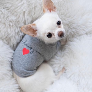 Personalized Dog Shirt || Dog T-Shirt || Custom Dog Clothes || Small Dog || Grey Dog Top || Pet Apparel image 2