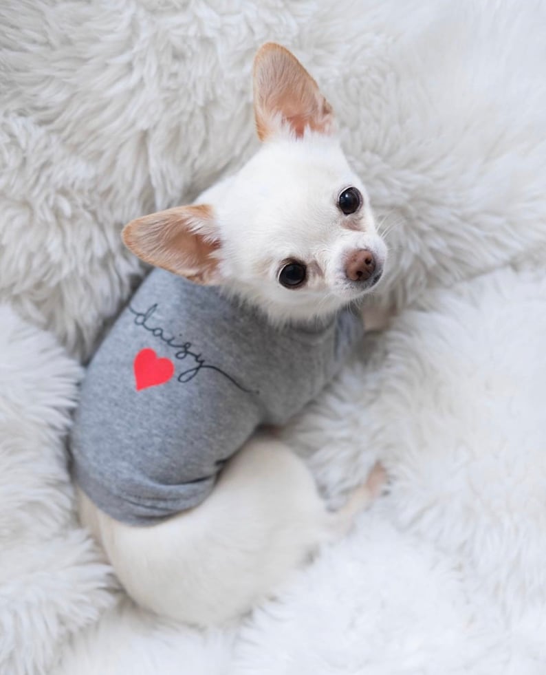 Personalized Dog Shirt || Dog T-Shirt || Custom Dog Clothes || Small Dog || Grey Dog Top || Pet Apparel image 2