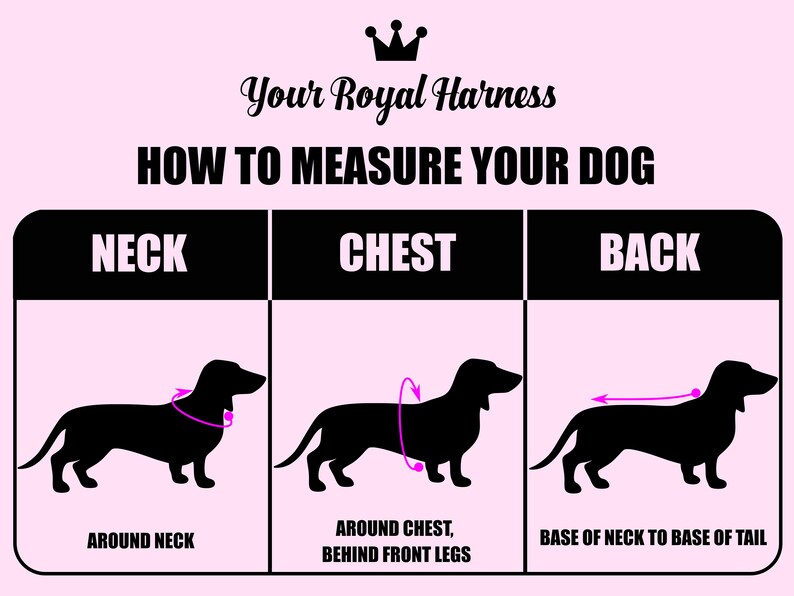 Puede incluir: Diagrama que muestra c&oacute;mo medir un perro para un arn&eacute;s. El diagrama muestra una silueta negra de un perro con flechas que indican d&oacute;nde medir alrededor del cuello, el pecho y la espalda.