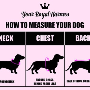 May include: Diagram showing how to measure a dog for a harness. The diagram shows a black silhouette of a dog with arrows indicating where to measure around the neck, chest, and back.