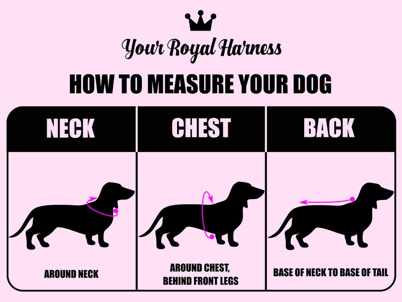 May include: Diagram showing how to measure a dog for a harness. The diagram shows a black silhouette of a dog with arrows indicating where to measure around the neck, chest, and back.