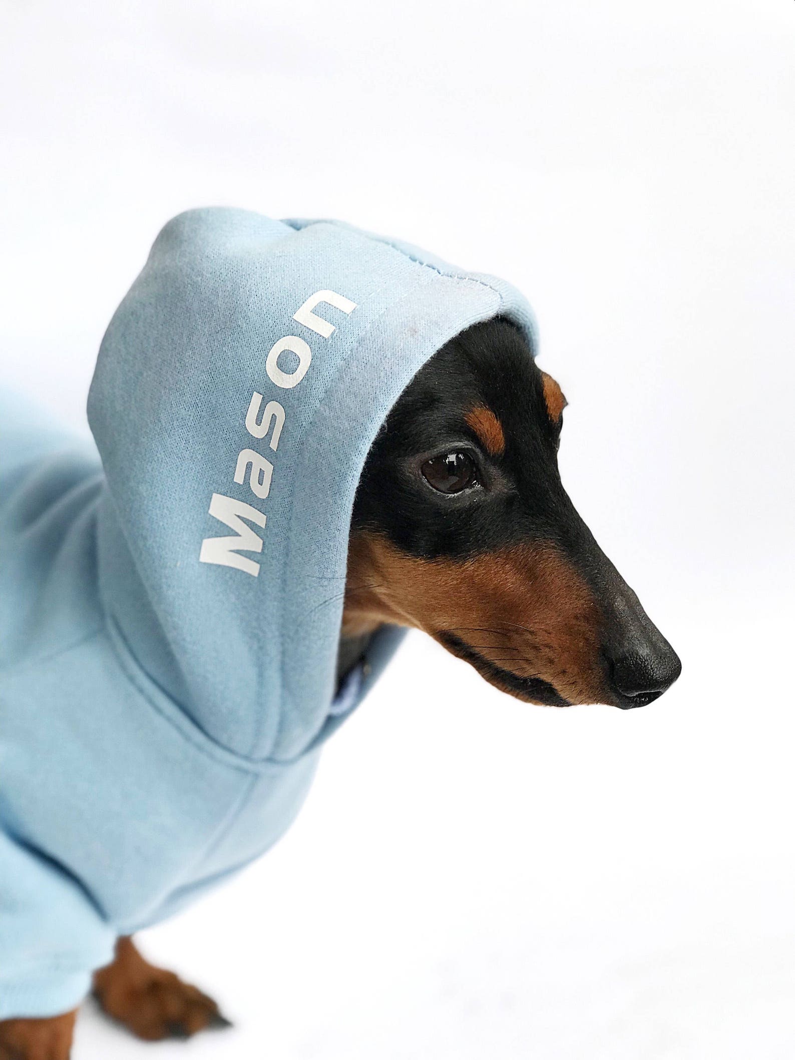 Custom Dog Hoodie Personalized Dog Hoodie Personalized Dog Clothes Dog
