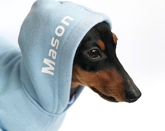May include: A small black and brown dachshund wearing a light blue hooded sweatshirt with the name "Mason" printed in white on the hood.