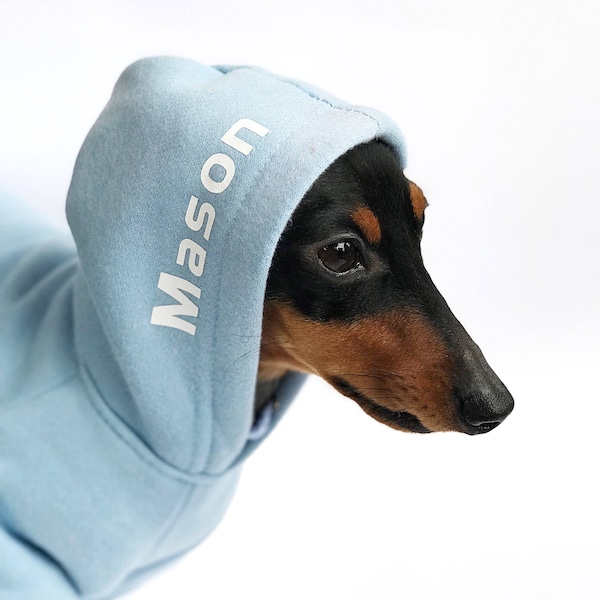 Custom Dog Hoodie || Personalized Dog Hoodie || Personalized Dog Clothes || Dog Sweater || Dog Name || Blue Dog Hoodie || Warm Dog Clothes