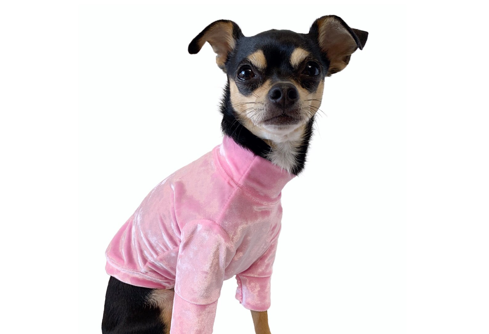 Small Dog Clothes Dog Fashion Pink Crushed Velour Long Etsy
