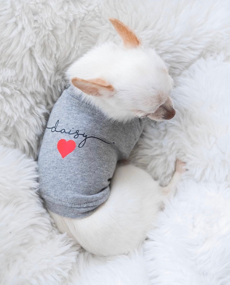 Personalized Dog Shirt Dog T-Shirt Custom Dog Clothes Small Dog Grey Dog Top Pet Apparel image 1