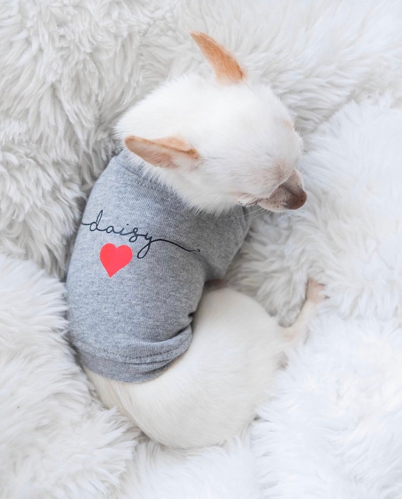 Personalized Dog Shirt || Dog T-Shirt || Custom Dog Clothes || Small Dog || Grey Dog Top || Pet Apparel image 1