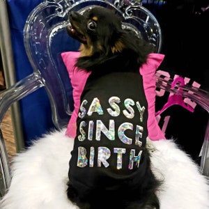 Dog T-Shirt || Dog Tee || Holographic Dog T-Shirt || Dog Clothes || Trendy Dog Clothes || Small Dog Clothes || Dog Apparel | Black Dog Shirt