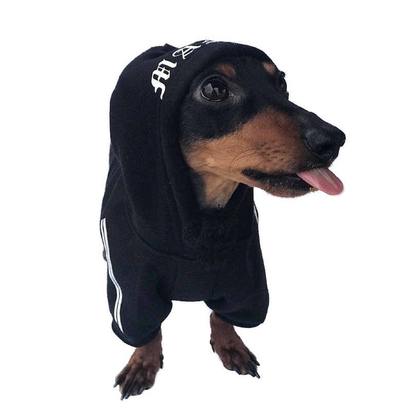 Custom Dog Hoodie Personalized Dog Hoodie Black Dog Etsy