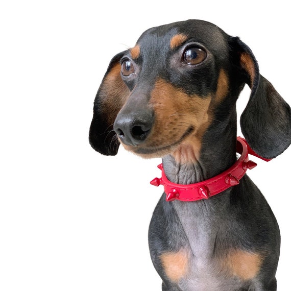 red spiked collar