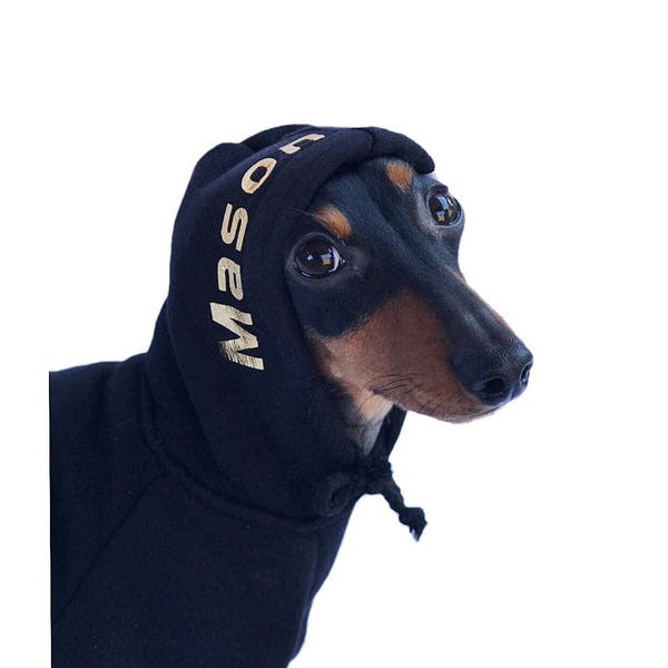 Custom Dog Hoodie || Personalized Dog Hoodie || Personalized Dog Clothes || Dog Sweater || Dog Name || Black Dog Hoodie || Warm Dog Clothes