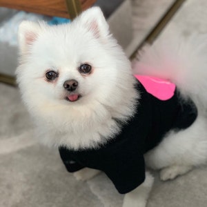 Puede incluir: Un perro blanco y esponjoso que lleva una camisa negra con un coraz&oacute;n rosa en la espalda. El perro est&aacute; mirando a la c&aacute;mara con la lengua fuera.