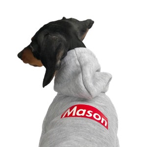カスタム犬用パーカー || パーソナライズ犬用パーカー || グレー犬用パーカー || プルオーバー犬用パーカー || 暖かい犬用セーター || 犬用服 ||