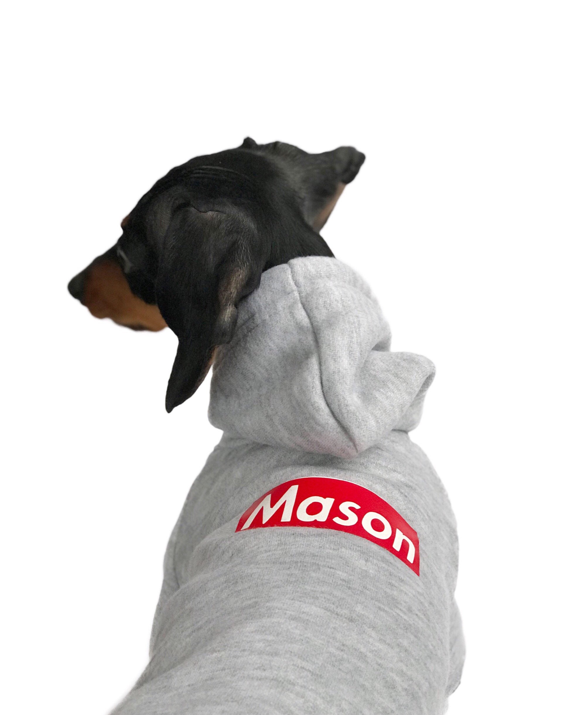 Iconic Repeat Channel Monogram Inspired Dog Hoodie