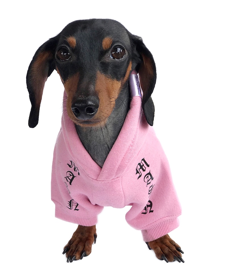 Custom Dog Hoodie Personalized Dog Hoodie Dog Hoodie Etsy