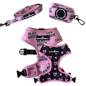 Harness Leine Kotbeutel Halter Bundle |