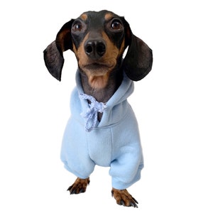 Sudadera con capucha para perros azul // Ropa para perros // Azul cielo // Sudadera para perros // Sudaderas con capucha para perros // Perro pequeño // Ropa cálida para perros // Ropa para perros de invierno //