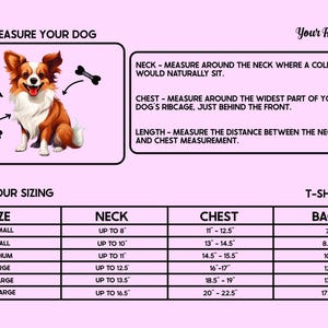 Personalized Dog Shirt || Dog T-Shirt || Custom Dog Clothes || Small Dog || Grey Dog Top || Pet Apparel image 5