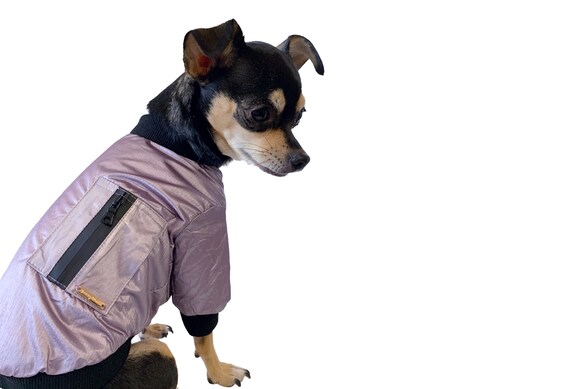 small dog bomber jacket