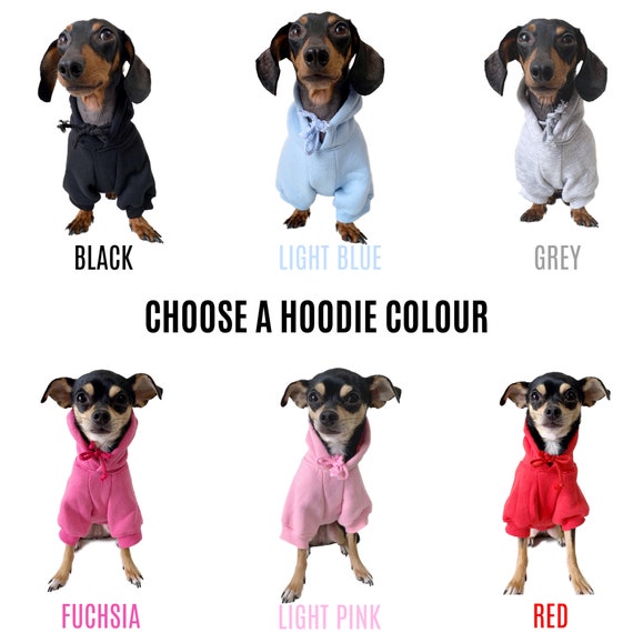 Wish puppy clothes cheap