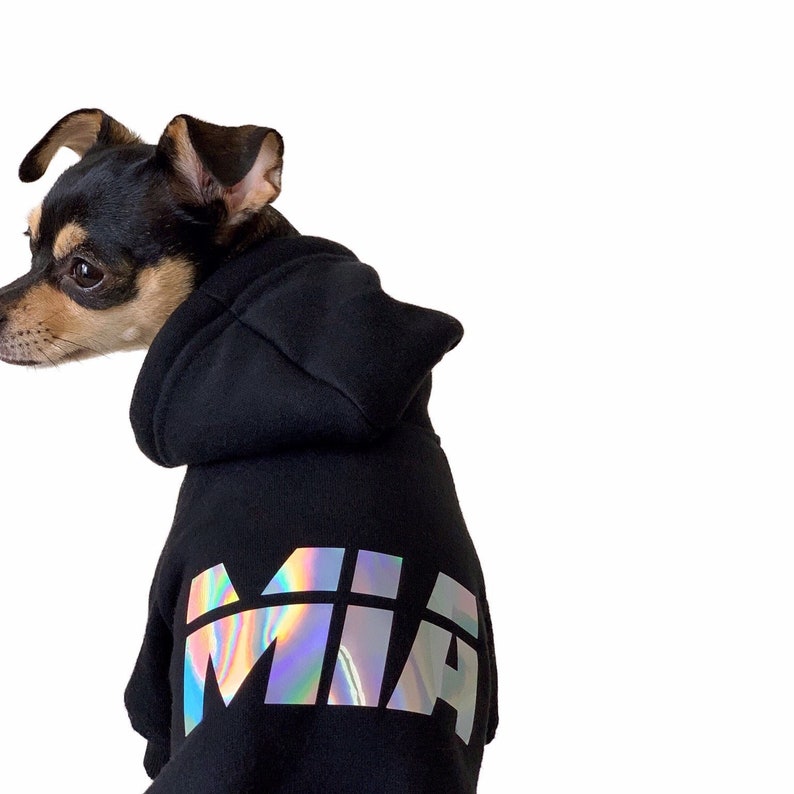 Custom dog sweater with name Clearance