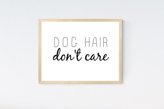 Dog Hair Dont Care Pet Hair Dog Sayings Dog Quotes Dog Etsy