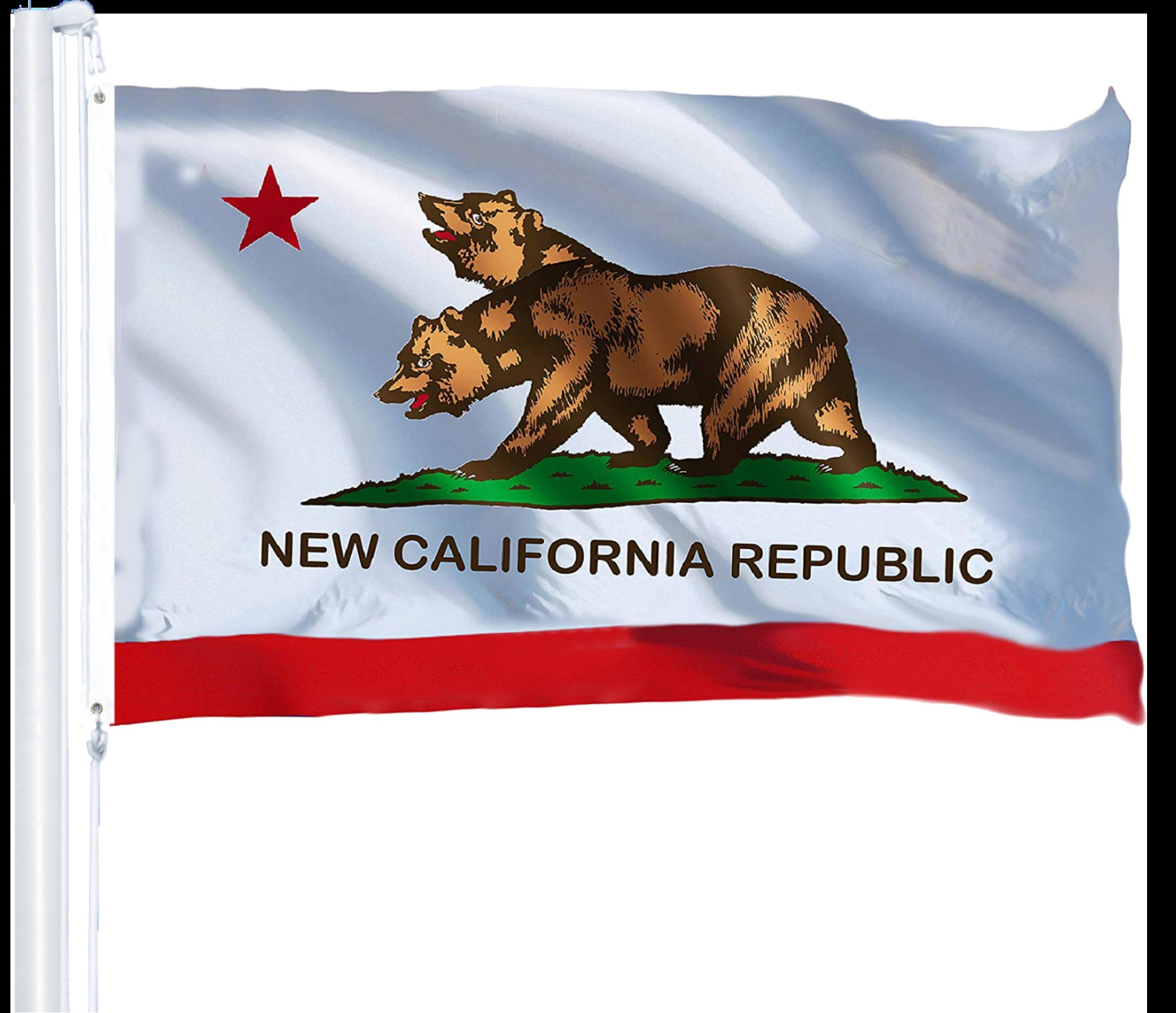 3x5ft New California Republic Flag Polyester CA State USA Two Etsy