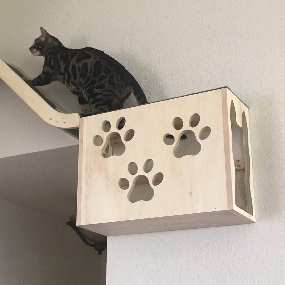 cat play box