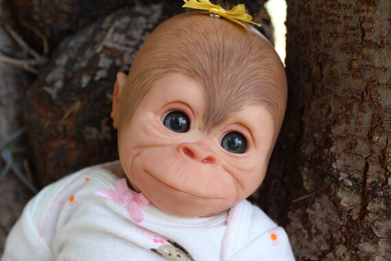 monkey reborn babies