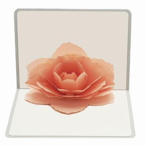 Cartão de felicitações pop-up 3D "Rosa Rosa"